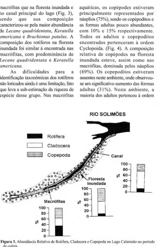 Figura 3. Abundância Relativa de Rotifera, Cladocera e Copepoda no Lago Calameão no período 
