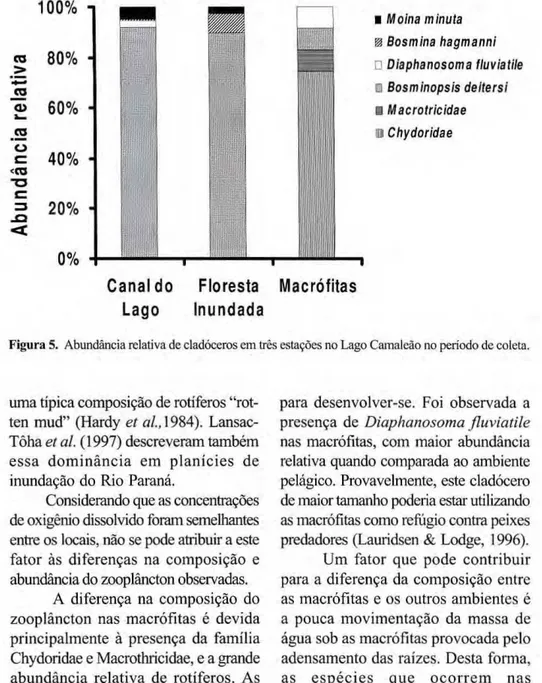 Figura 5. Abundância relativa de cladóceros em três estações no Lago Camaleão no período de coleta