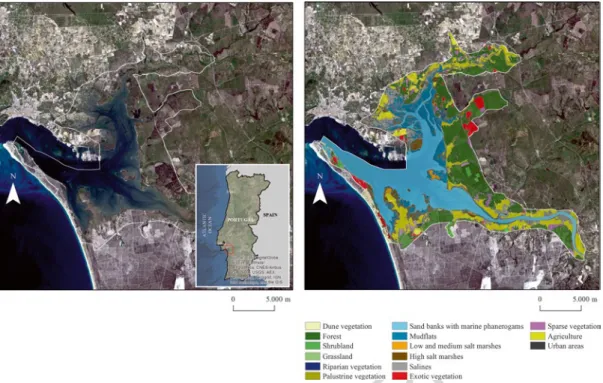Fig. 3.2  Sado Estuary land cover classification based on LANDSAT-7 ETM+. Image acquired in 25 April 2010 over  Site of Community Importance (SCI) of the Sado Estuary