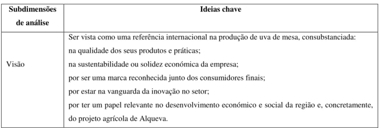 Tabela 12: Ideias chave da visão da empresa  Subdimensões 