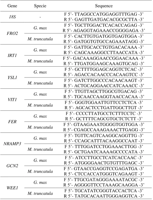 Table 3.1 – Forward and reverse primer sequences used in quantitative Real-Time PCR reactions.