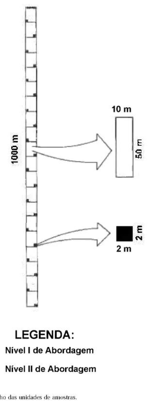 Figura 2. Forma e tamanho das unidades de amostras. 
