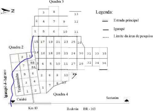 Figura 1. Localização e delimitação da área de pesquisa. Fonte: FUPEF (1984); IBAMA &amp; PNUD 