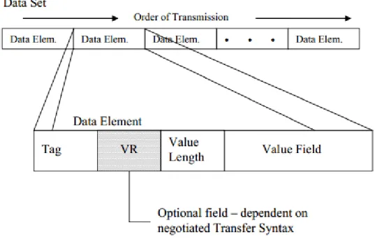 Figure 8- DICOM data set structure consists of several data elements. 
