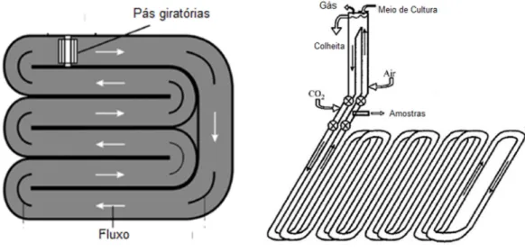 Figura  1.1  –  Esquema  representativo  do  sistema  reaceway  (a)  e  fotobiorreator  tubular  horizontal (b)