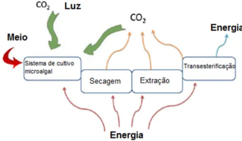 Figura 1.2 – Sistema de produção de biodiesel de microalga com fixação de CO 2  durante o cultivo 