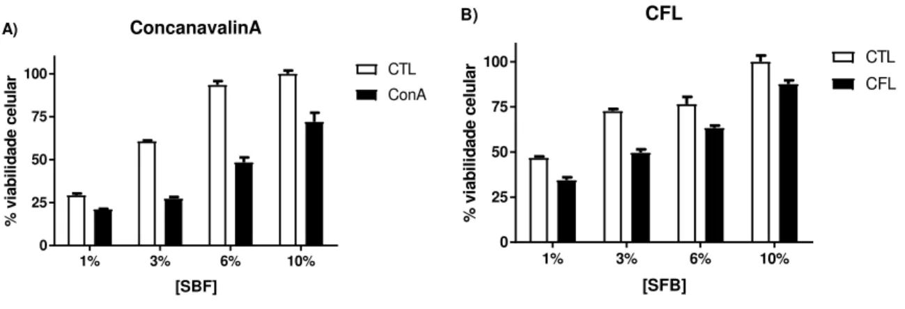 Figura 7: Viabilidade celular da linhagem K562 tratadas com as lectinas Concanavalina A  (A) e CFL (B) durante 72 horas, em diferentes concentrações de SFB, avaliada pelo ensaio  de  redução  do  MTT