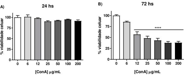Figura  11:  Efeito  citotóxico  da  lectina  Concanavalina  A  sobre  a  viabilidade  da  linhagem  K562,  após  o  período  de  24  (A)  e  72  horas  (B)  de  tratamento,  avaliado  pelo  método  de  redução do MTT