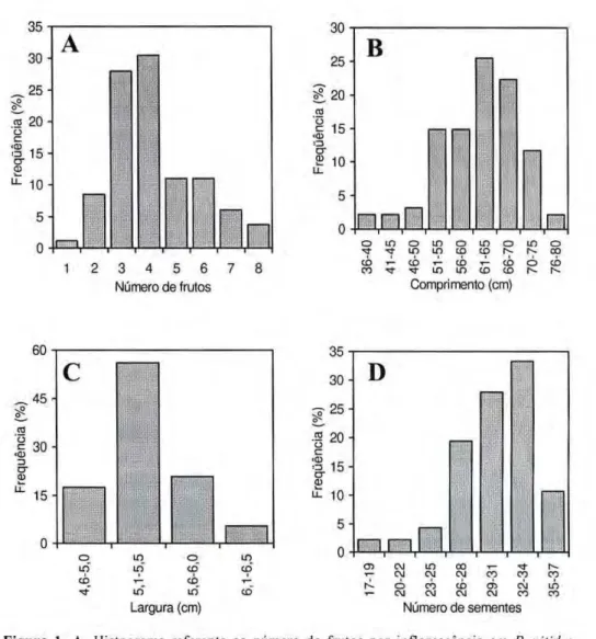 Figura   1 , A. Histograma referente ao número de frutos por inflorescência em zyxwvutsrqponmlkjihgfedcbaZYXWVUTSRQPONMLKJIHGFEDCBA  P