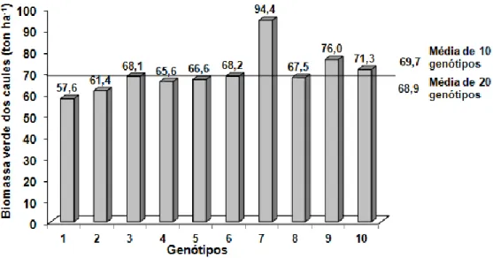 Figura 3 – Teor de sólidos solúveis (grau brix) de 10 genótipos de sorgo sacarino em ensaio na herdade da  Mitra no verão de 2012, Universidade de Évora