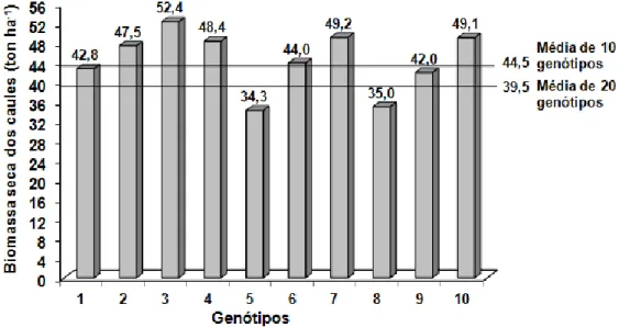 Figura 4 – Produção de biomassa dos caules secos de 10 genótipos de sorgo sacarino em ensaio na herdade da  Mitra no verão de 2012, Universidade de Évora