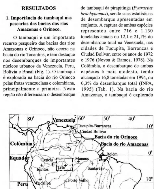 Figura 1. Norte da América do Sul mostrando: o limite das bacias dos rios Orinoco, Amazonas  e Tocantins (linha pontilhada), a localização das principais cidades das bacias dos rios Orinoco  e Amazonas que recebem o desembarque de tambaquis (+) e a delimit