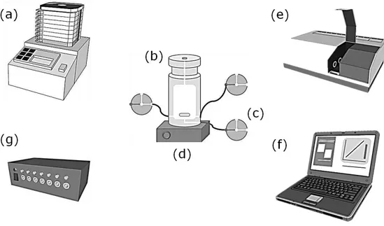 Figura  2.16. Esquema  ilustrativo  dos  principais  componentes  do  FBA.  (a)  bomba  peristáltica,  (b)  câmara  de  mistura, (c) válvulas solenoides,  (d) agitador magnético, (e) sistema de detecção, (f) computador e (g) acionador  de válvulas