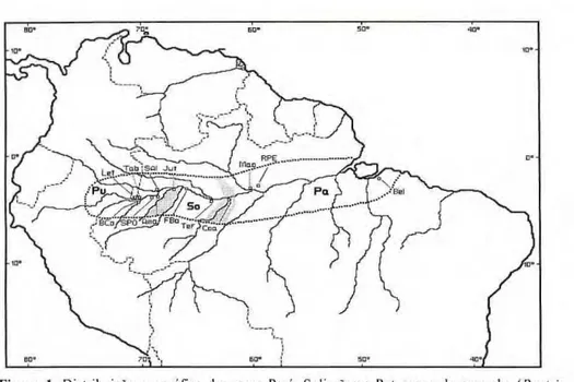 Figura 1. Distribuição geográfica das raças Pará, Solimões c Putumayo de pupunha zyxwvutsrqponmlkjihgfedcbaZYXWVUTSRQPONMLKJIHGFEDCBA  (Bactris  gasipaes) na Amazônia brasileira. As populações amostradas foram: Pará ­ Belém (Bel: 5 acessos;  12 plantas), M