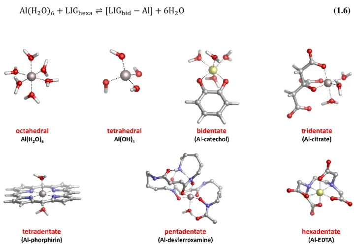 Fig 1.2. Main species of aluminum in solution and binding modes (denticities) of some common endogenous  and exogenous Al(III) chelators