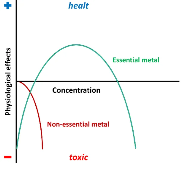 Fig. 1.9. Bertrand diagram showing essential and non-essential (toxic) metal ions. 