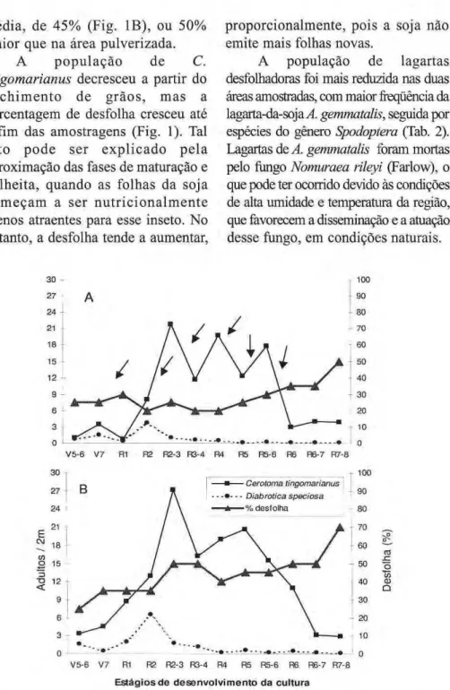 Figura 1. Flutuação populacional de crisomelídeos (Cerotoma tingomarianus e Diabrotica  speciosa) e porcentagem de desfolha em cultivares de soja pulverizadas (A) e não pulverizadas 