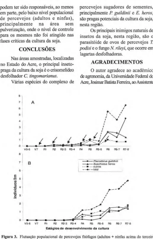 Figura 3. Flutuação populacional de percevejos fitófagos (adultos + ninfas acima do terceiro 