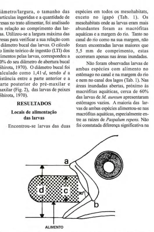 Figura 2. Esquema da capacidade teórica de ingestão de alimentos em larvas de peixes, segundo  Shirota (1970). Onde d = diâmetro bucal, c =  5 0 % do diâmetro bucal e ab = distância entre a  extremidade anterior e a extremidade posterior do pré­maxilar das