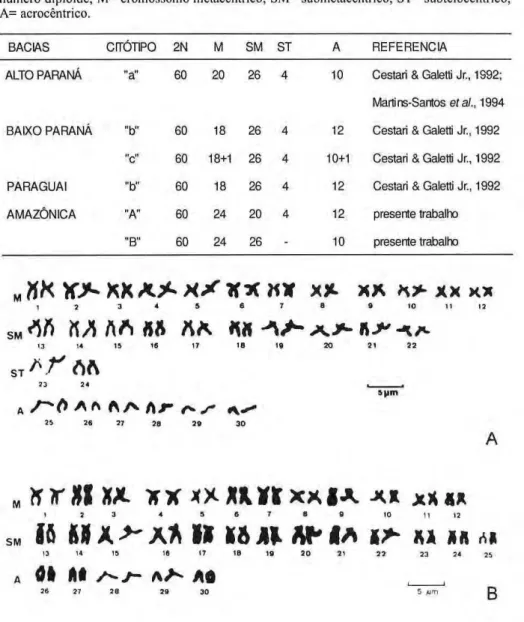 Tabela 1. Compilação dos dados cariotípicos disponíveis para Serrasalmus spilopleura. 2n= 