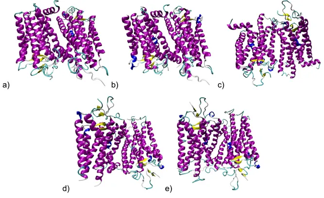 Fig. 3 – Bovine rhodopsin receptor: a) 1F88, b) 1HZX, c) 1GZM, d) 1L9H, e) 1U19