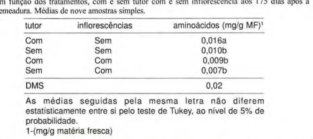 Tabela 4. Teores de aminoácidos livres em raizes tuberosas em plantas dc feijão macuco, obtidos  em função dos tratamentos, com e sem tutor com c sem inflorescência aos 175 dias após a 