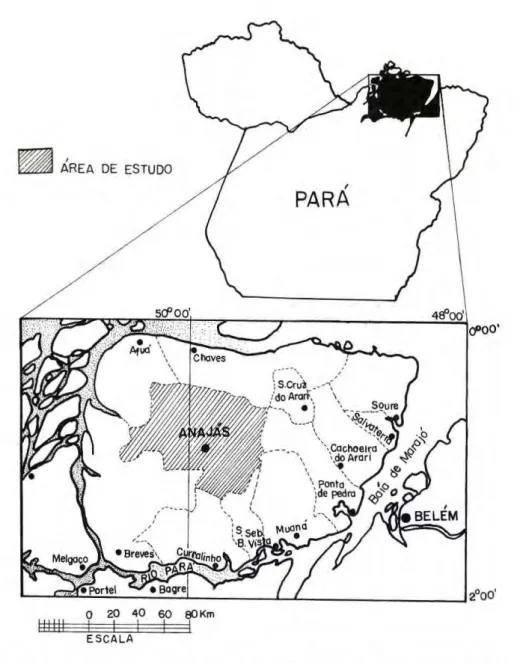 Figura 1. zyxwvutsrqponmlkjihgfedcbaZYXWVUTSRQPONMLKJIHGFEDCBA  Mapa da Mcsorrcgião do Marajó, destacando a área de estudo, o município de Anajás
