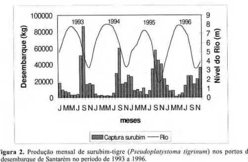 Figura zyxwvutsrqponmlkjihgfedcbaZYXWVUTSRQPONMLKJIHGFEDCBA  2. Produção mensal de surubim-tigre zyxwvutsrqponmlkjihgfedcbaZYXWVUTSRQPONMLKJIHGFEDCBA  {Pseudoplatystoma tigrinum) nos portos de  desembarque de Santarém no período de 1993 a 1996