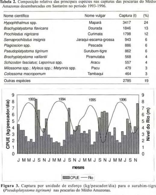 Tabela zyxwvutsrqponmlkjihgfedcbaZYXWVUTSRQPONMLKJIHGFEDCBA  2. Composição relativa das principais espécies nas capturas das pescarias do Médio  Amazonas desembarcadas em Santarém no período 1993-1996