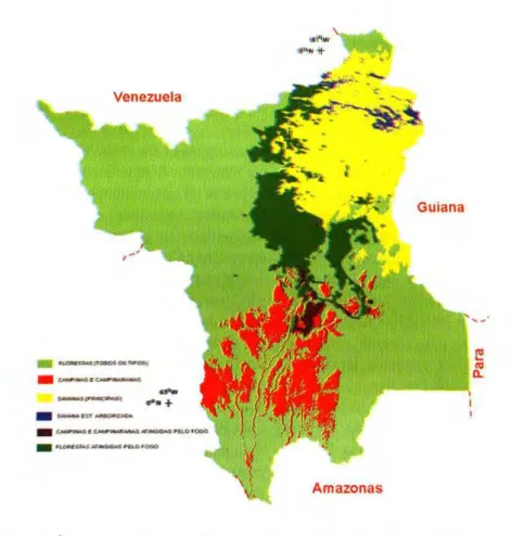 Figura 1. Área bruta dos sistemas florestais e oligotróllcos (campinas/campinaranas) atingidas  pelos incêndios