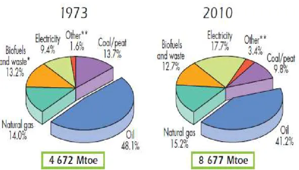 Figura 2. Consumo de fonte energética mundial, anos 1973 e 2010. 