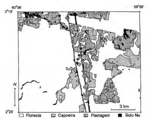 Figura 4. Mapa temático da área de estudo obtido por classificação automática não-supervisionada, a partir de imagens  Landsat, bandas TM3, TM4 e TM5