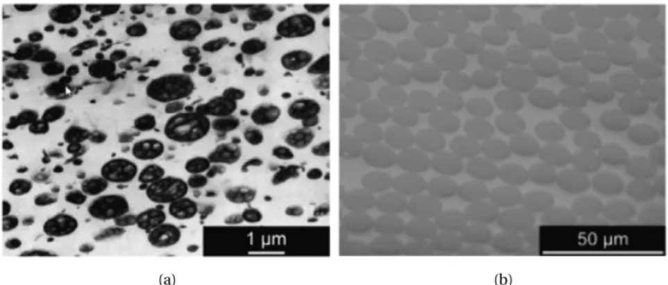 Figure 1.1: (a): Polymer blend ABS with ellipsoidal shape inclusions. (b): Fiber- Fiber-reinforced composite with cylindrical shape inclusions (Adapted from Bargmann et al.