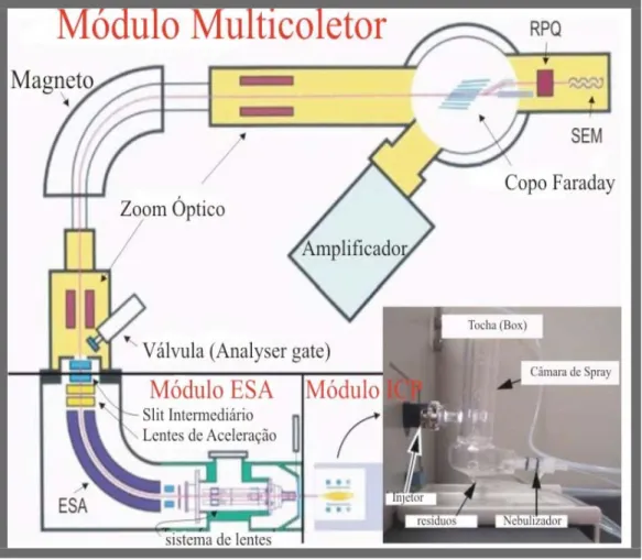 Figura 2.1 – Figura esquemática do ICPM (modificado de Finnigan Neptune-Hardware Manual-2003).