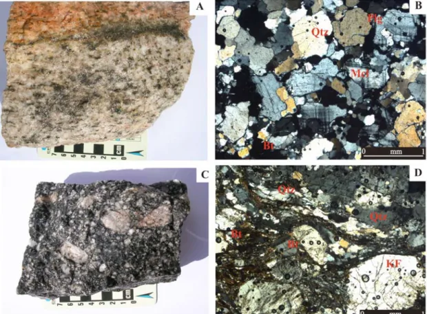 Figure 3.3 – Hand sample and photomicrographs of gneisses located in Mato Grosso and Goiás state