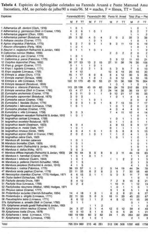 Tabela 4. Espécies de Sphingidae coletados na Fazenda Aruanã e Ponte Mamoud Amed,  Itacoatiara, AM, no período de julho/90 a maio/96