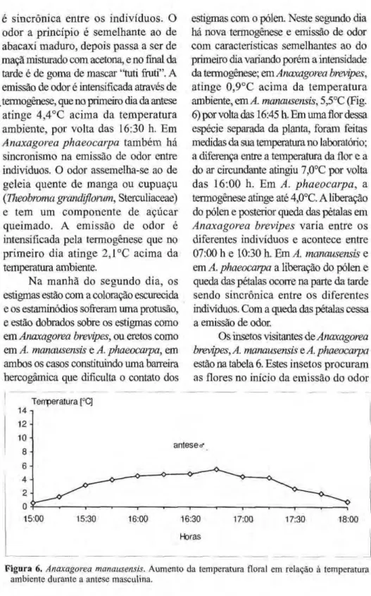 Figura 6. Anaxagorea manausensis. Aumento da temperatura floral em relação à temperatura  ambiente durante a antese masculina