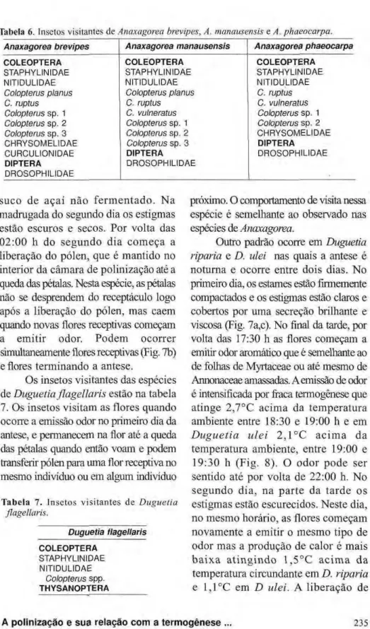 Tabela zyxwvutsrqponmlkjihgfedcbaZYXWVUTSRQPONMLKJIHGFEDCBA  6. Insetos visitantes de zyxwvutsrqponmlkjihgfedcbaZYXWVUTSRQPONMLKJIHGFEDCBA  Anaxagorea brevipes, A