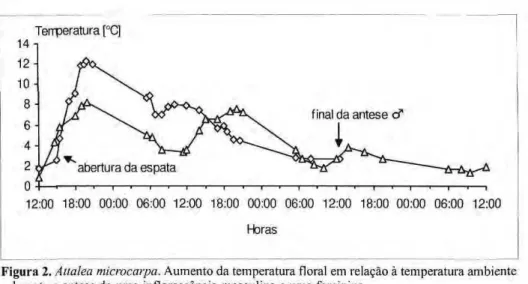 Figura 2. zyxwvutsrqponmlkjihgfedcbaZYXWVUTSRQPONMLKJIHGFEDCBA  Aüalea microcarpa. zyxwvutsrqponmlkjihgfedcbaZYXWVUTSRQPONMLKJIHGFEDCBA  Aumento da temperatura floral em relação à temperatura ambiente  durante a antese de uma inflorescência masculina e uma