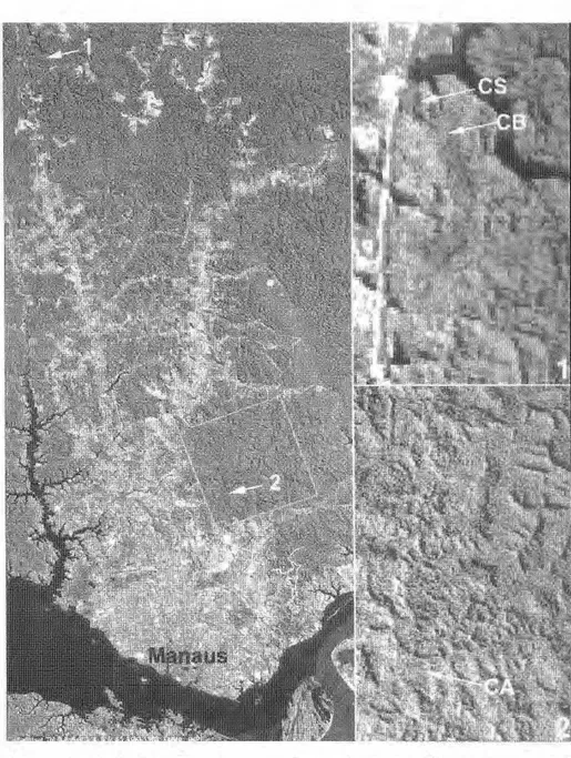 Figura 1. zyxwvutsrqponmlkjihgfedcbaZYXWVUTSRQPONMLKJIHGFEDCBA  Locais de coleta. Foto maior, acima à esquerda: Reserva Biológica da Campina do  INPA(l); abaixo