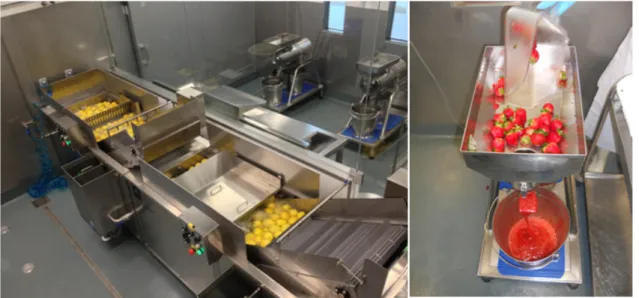 Figura 2 – Máquinas utilizadas na 1ª fase do processo. À esquerda máquina de lavagem de fruta, e bancada de  descasque da fruta