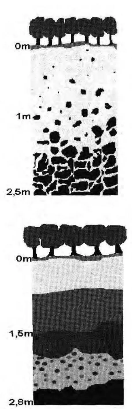 Figura 2. Perfis de alteração das crostas sílico-ferruginosas de Outeiro e Mosqueiro. 