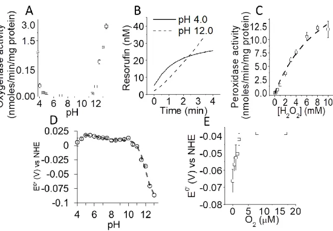 Figure 2 Measurement of the oxygenase and peroxidase activity of Cb 5 . Cb 5  oxygenase  activity dependence upon pH (panel A)