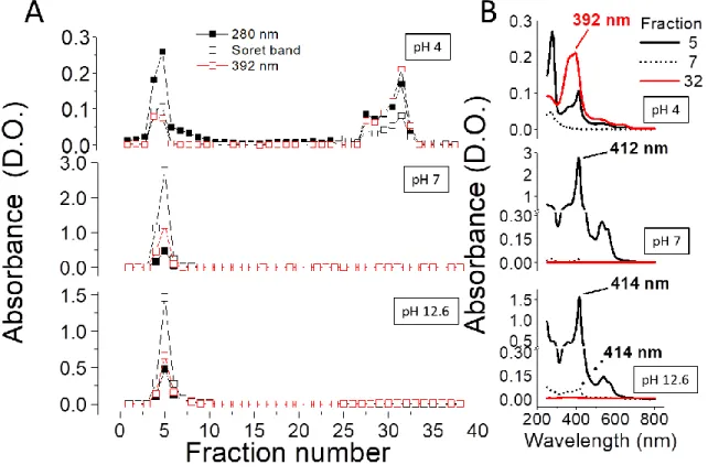 Figure 5. Measurement of heme binding to the Cb 5  peptide chain at different pH values