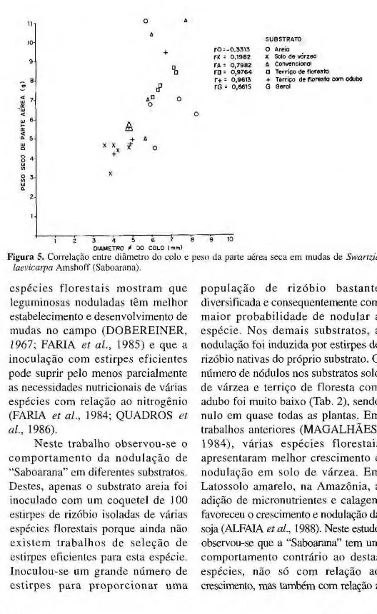 Figura 5. Correlação entre diâmetro do colo e peso da parte aérea seca em mudas de Swartzia  laevicarpa Amshoff (Saboarana)
