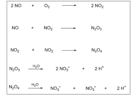 Figura 7 - Possíveis reações do NO em solução aquosa (BARRETO et al., 2005). 