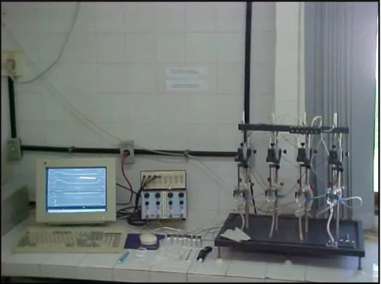 Figura 11 - Fotografia do aparato “in vitro” utilizado durante o presente estudo. 