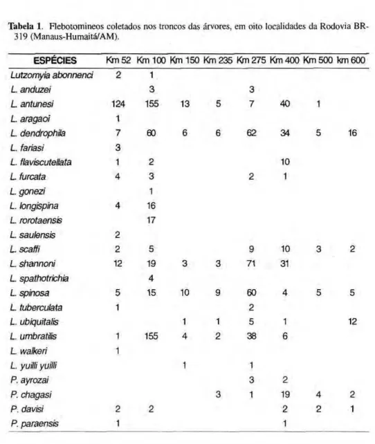 Tabela 1. Flebotomíneos coletados nos troncos das árvores, em oito localidades da Rodovia BR- BR-319 (Manaus-Humaitá/AM)