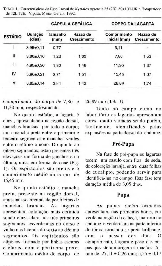 Tabela 1. Características da Fase Larval de Nystalea nyseus à 25±2°C, 6()±10%UR e Fotoperiodo  de 12L:12E