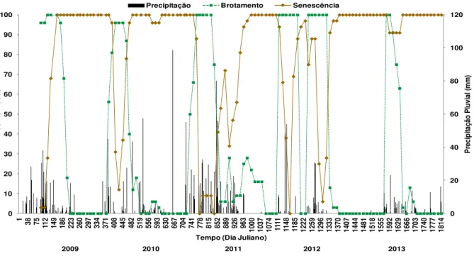 Figura  6.  Porcentagem  de  indivíduos  de  P.  pyramidalis  nas  fenofases  de  brotamento  e  senescência, durante realização do experimento (2009-2013)